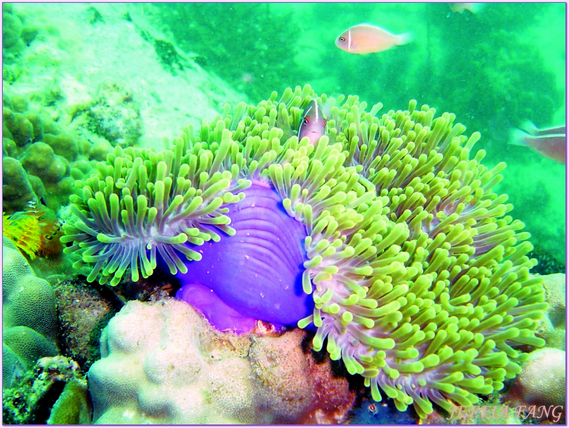 永續旅遊,泰國Thailand,泰國健康旅遊Amazing Thailand~The Healthy Journey,泰國旅遊,綠色示範島嶼,象島KOH CHANG 永續旅遊,泰國Thailand,泰國健康旅遊Amazing Thailand~The Healthy Journey,泰國旅遊,綠色示範島嶼,象島KOH CHANG