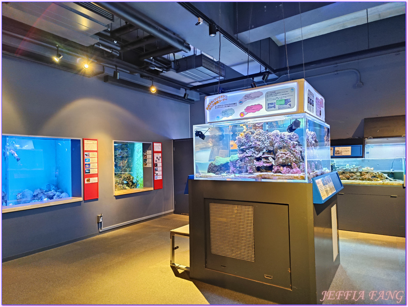 日本Japan,男鹿半島 Oga hanto,男鹿水族館G A O,秋田Akita