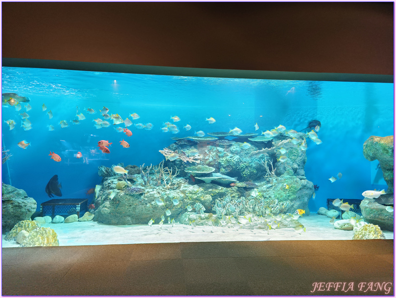 日本Japan,男鹿半島 Oga hanto,男鹿水族館G A O,秋田Akita