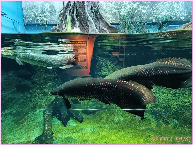 日本Japan,男鹿半島 Oga hanto,男鹿水族館G A O,秋田Akita