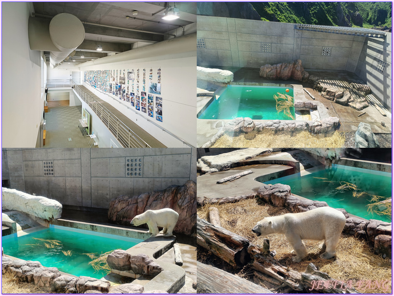 日本Japan,男鹿半島 Oga hanto,男鹿水族館G A O,秋田Akita
