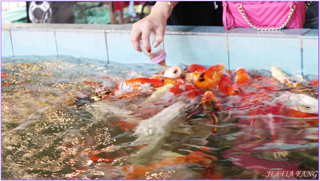 曼谷Bangkok,永續旅遊,泰國Thailand,泰國健康旅遊Amazing Thailand~The Healthy Journey,泰國旅遊,綠色生態社區Sri Nakhon Khuean Khan Park and Botanical Garden,邦南彭水上市場Bang Nam Phueng Floating Market 曼谷Bangkok,永續旅遊,泰國Thailand,泰國健康旅遊Amazing Thailand~The Healthy Journey,泰國旅遊,綠色生態社區Sri Nakhon Khuean Khan Park and Botanical Garden,邦南彭水上市場Bang Nam Phueng Floating Market