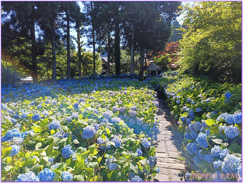 日本Japan,日本旅遊,日本東北Tohoku,男鹿半島 Oga hanto,雲昌寺Unshoji
