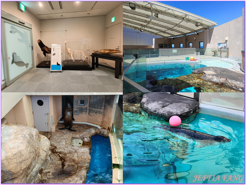 日本Japan,男鹿半島 Oga hanto,男鹿水族館G A O,秋田Akita
