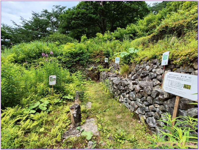 台灣虎航直飛秋田,大館市Odate,日本Japan,秋田Akita,長走Nagabashiri,長走風穴 台灣虎航直飛秋田,大館市Odate,日本Japan,秋田Akita,長走Nagabashiri,長走風穴