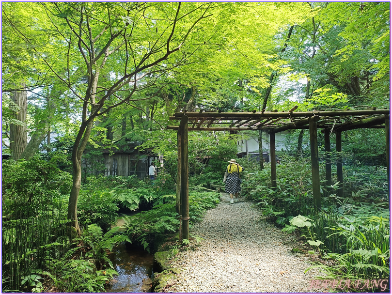 仙北市Senboku,日本Japan,秋田Akita,角館武家屋敷Kakunodate Bukeyashiki,角館歷史村青柳家 仙北市Senboku,日本Japan,秋田Akita,角館武家屋敷Kakunodate Bukeyashiki,角館歷史村青柳家