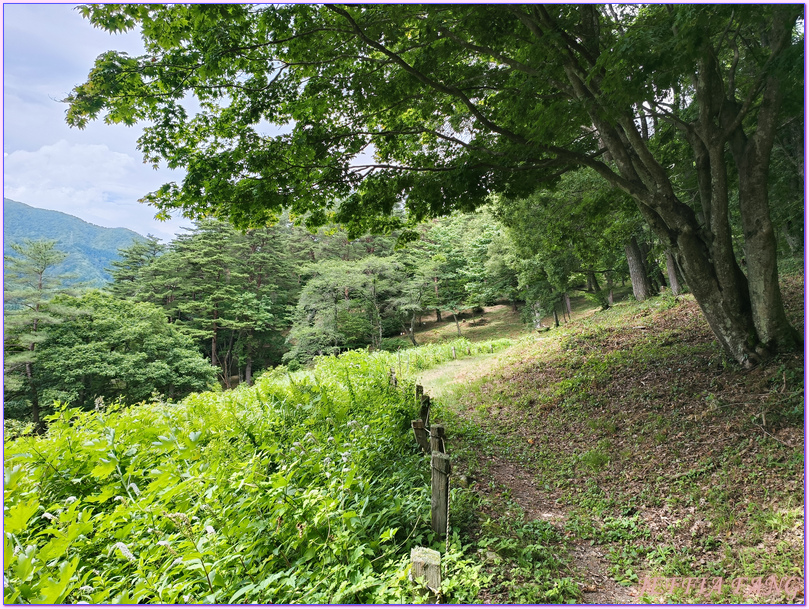 台灣虎航直飛秋田,大館市Odate,日本Japan,秋田Akita,長走Nagabashiri,長走風穴 台灣虎航直飛秋田,大館市Odate,日本Japan,秋田Akita,長走Nagabashiri,長走風穴