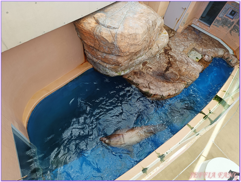 日本Japan,男鹿半島 Oga hanto,男鹿水族館G A O,秋田Akita