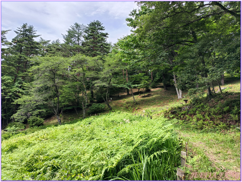 台灣虎航直飛秋田,大館市Odate,日本Japan,秋田Akita,長走Nagabashiri,長走風穴 台灣虎航直飛秋田,大館市Odate,日本Japan,秋田Akita,長走Nagabashiri,長走風穴