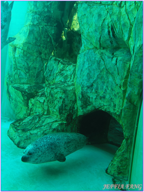 日本Japan,男鹿半島 Oga hanto,男鹿水族館G A O,秋田Akita