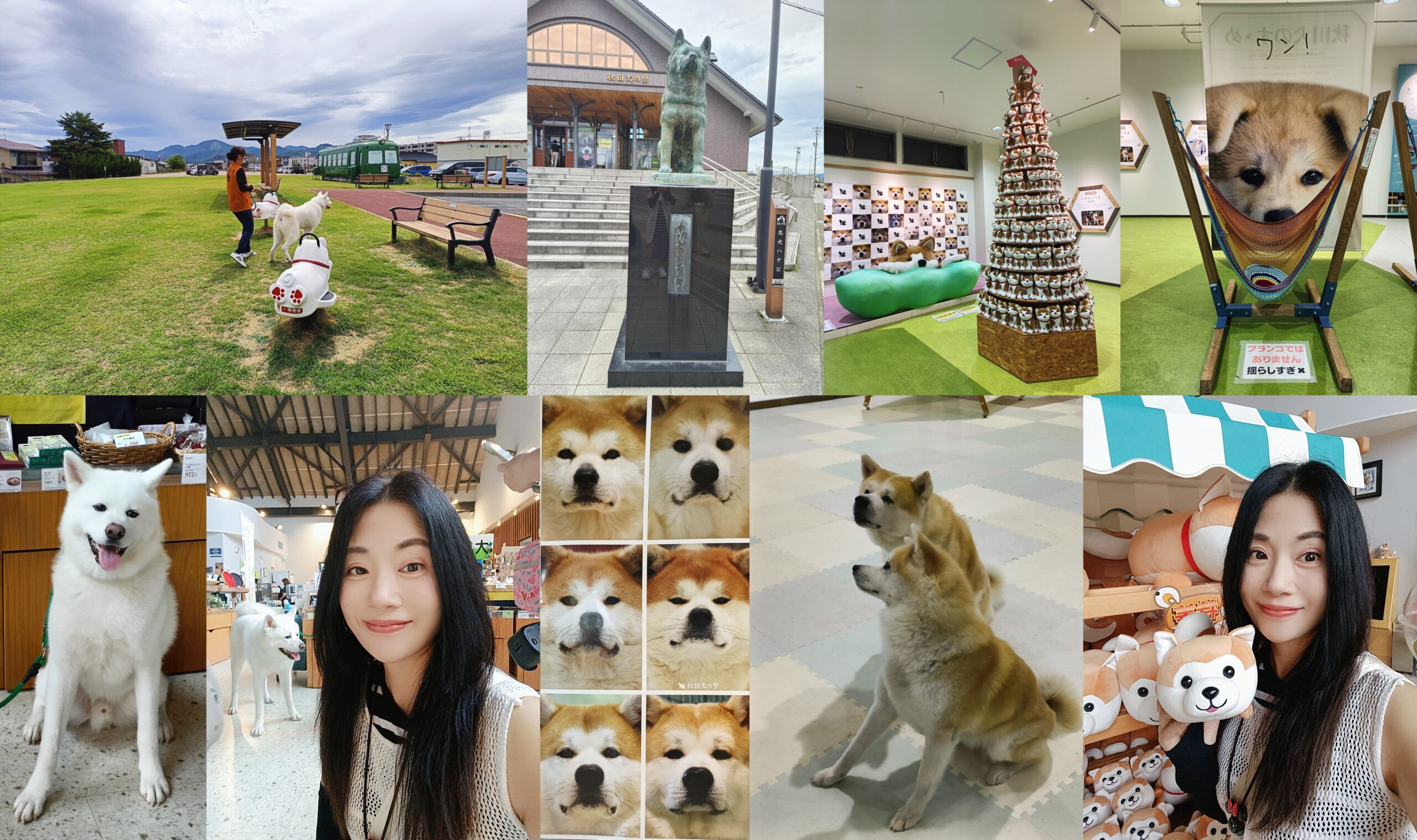 網站近期文章：◎日本東北秋田大館市【秋田犬之里(遊客服務中心)】卡哇依捏