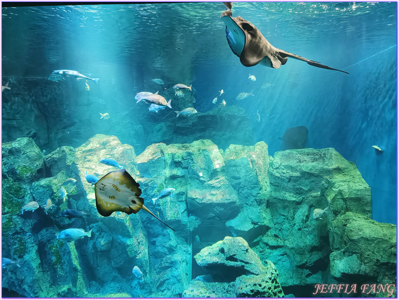 日本Japan,男鹿半島 Oga hanto,男鹿水族館G A O,秋田Akita