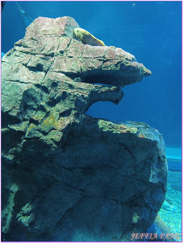 日本Japan,男鹿半島 Oga hanto,男鹿水族館G A O,秋田Akita