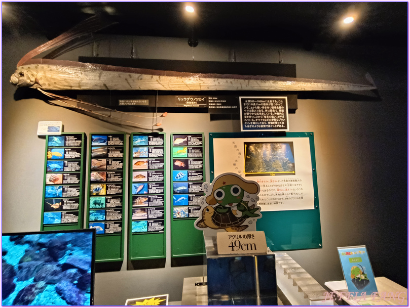 日本Japan,男鹿半島 Oga hanto,男鹿水族館G A O,秋田Akita