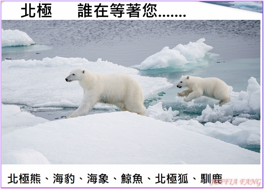2025年8月龐洛夏古號正北極總整理文,北極Arctic,指揮官夏古號Le Commandant Charcot,挪威Norway,極地之旅,正北極,鳳凰旅遊PhoenixTour,龐洛PONANT郵輪