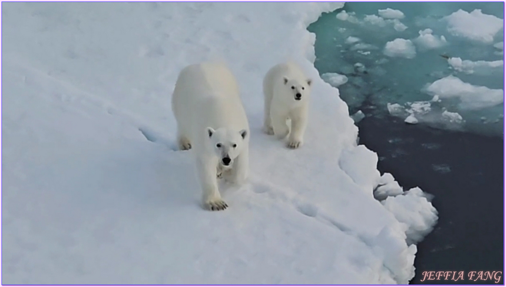 北極Arctic,北極知識,指揮官夏古號Le Commandant Charcot,極地之旅,郵輪講座,龐洛PONANT郵輪 北極Arctic,北極知識,指揮官夏古號Le Commandant Charcot,極地之旅,郵輪講座,龐洛PONANT郵輪