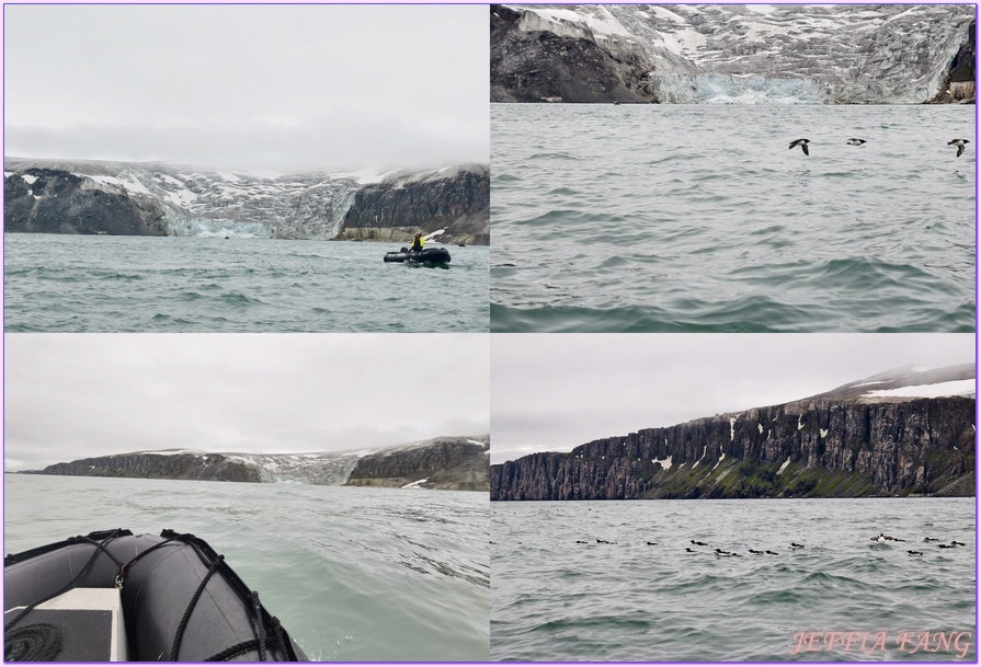 北極Arctic,厚嘴海鴉Brunnichs gullemots,指揮官夏古號Le Commandant Charcot,斯匹茲卑爾根島Spitsbergen,極地之旅,阿爾凱菲耶萊特Alkefjellt,龐洛PONANT郵輪 北極Arctic,厚嘴海鴉Brunnichs gullemots,指揮官夏古號Le Commandant Charcot,斯匹茲卑爾根島Spitsbergen,極地之旅,阿爾凱菲耶萊特Alkefjellt,龐洛PONANT郵輪