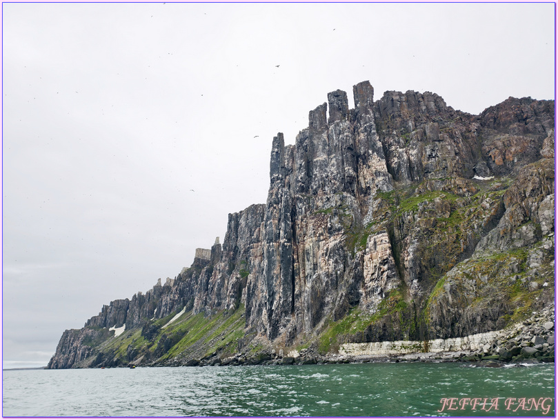 北極Arctic,厚嘴海鴉Brunnichs gullemots,指揮官夏古號Le Commandant Charcot,斯匹茲卑爾根島Spitsbergen,極地之旅,阿爾凱菲耶萊特Alkefjellt,龐洛PONANT郵輪 北極Arctic,厚嘴海鴉Brunnichs gullemots,指揮官夏古號Le Commandant Charcot,斯匹茲卑爾根島Spitsbergen,極地之旅,阿爾凱菲耶萊特Alkefjellt,龐洛PONANT郵輪