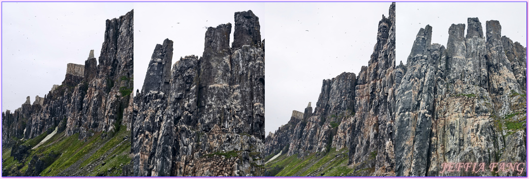北極Arctic,厚嘴海鴉Brunnichs gullemots,指揮官夏古號Le Commandant Charcot,斯匹茲卑爾根島Spitsbergen,極地之旅,阿爾凱菲耶萊特Alkefjellt,龐洛PONANT郵輪 北極Arctic,厚嘴海鴉Brunnichs gullemots,指揮官夏古號Le Commandant Charcot,斯匹茲卑爾根島Spitsbergen,極地之旅,阿爾凱菲耶萊特Alkefjellt,龐洛PONANT郵輪