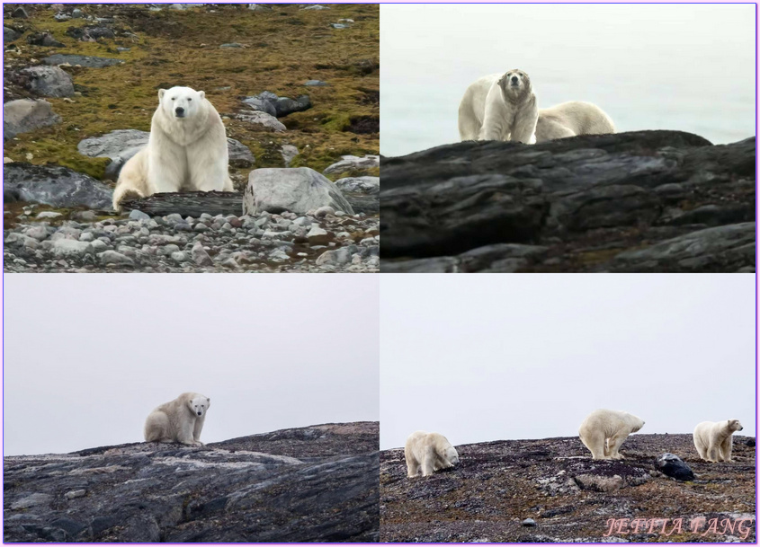伊西索亞內Isisoyane,北極Arctic,指揮官夏古號Le Commandant Charcot,斯匹茲卑爾根島Spitsbergen,極地之旅,極地探險,維特島Kvitoya,龐洛PONANT郵輪 伊西索亞內Isisoyane,北極Arctic,指揮官夏古號Le Commandant Charcot,斯匹茲卑爾根島Spitsbergen,極地之旅,極地探險,維特島Kvitoya,龐洛PONANT郵輪