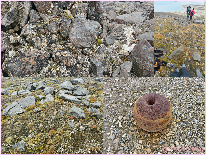 北極Arctic,指揮官夏古號Le Commandant Charcot,極地之旅,極地健行Polar Hike,極地探險,極地跳水Polar Plunge,龐洛PONANT郵輪