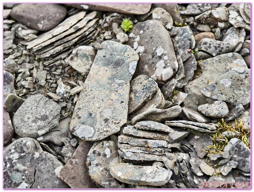 勒倫布克塔Rorenbukta,北極Arctic,指揮官夏古號Le Commandant Charcot,斯匹茲卑爾根島Spitsbergen,極地之旅,龐洛PONANT郵輪 勒倫布克塔Rorenbukta,北極Arctic,指揮官夏古號Le Commandant Charcot,斯匹茲卑爾根島Spitsbergen,極地之旅,龐洛PONANT郵輪