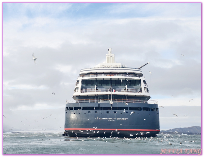 北極Arctic,厚嘴海鴉Brunnichs gullemots,指揮官夏古號Le Commandant Charcot,斯匹茲卑爾根島Spitsbergen,極地之旅,阿爾凱菲耶萊特Alkefjellt,龐洛PONANT郵輪 北極Arctic,厚嘴海鴉Brunnichs gullemots,指揮官夏古號Le Commandant Charcot,斯匹茲卑爾根島Spitsbergen,極地之旅,阿爾凱菲耶萊特Alkefjellt,龐洛PONANT郵輪