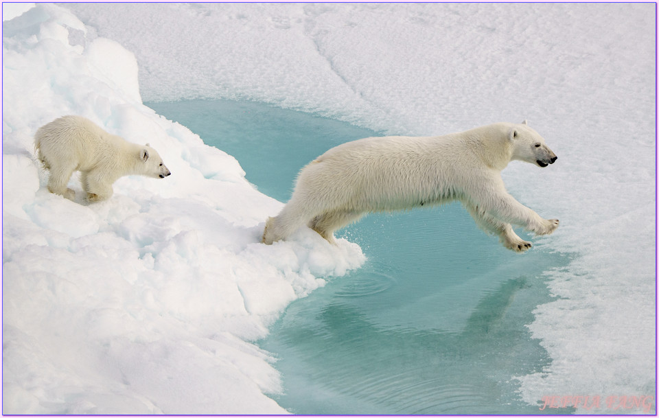北極Arctic,夏古號破冰航行世界之巔,指揮官夏古號Le Commandant Charcot,極地之旅,龐洛郵輪PONANT 北極Arctic,夏古號破冰航行世界之巔,指揮官夏古號Le Commandant Charcot,極地之旅,龐洛郵輪PONANT