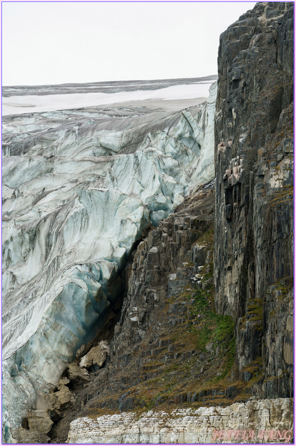 北極Arctic,厚嘴海鴉Brunnichs gullemots,指揮官夏古號Le Commandant Charcot,斯匹茲卑爾根島Spitsbergen,極地之旅,阿爾凱菲耶萊特Alkefjellt,龐洛PONANT郵輪 北極Arctic,厚嘴海鴉Brunnichs gullemots,指揮官夏古號Le Commandant Charcot,斯匹茲卑爾根島Spitsbergen,極地之旅,阿爾凱菲耶萊特Alkefjellt,龐洛PONANT郵輪