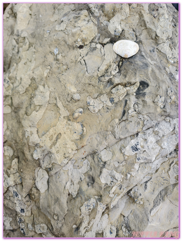 北極Arctic,布爾格布克塔Burgerbukta峽灣,指揮官夏古號Le Commandant Charcot,斯匹茲卑爾根島Spitsbergen,極地之旅,維貝布林Wibebreen冰川,龐洛PONANT郵輪 北極Arctic,布爾格布克塔Burgerbukta峽灣,指揮官夏古號Le Commandant Charcot,斯匹茲卑爾根島Spitsbergen,極地之旅,維貝布林Wibebreen冰川,龐洛PONANT郵輪