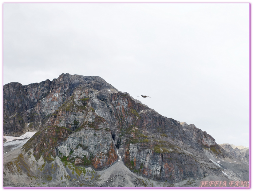 北極Arctic,布爾格布克塔Burgerbukta峽灣,指揮官夏古號Le Commandant Charcot,斯匹茲卑爾根島Spitsbergen,極地之旅,維貝布林Wibebreen冰川,龐洛PONANT郵輪 北極Arctic,布爾格布克塔Burgerbukta峽灣,指揮官夏古號Le Commandant Charcot,斯匹茲卑爾根島Spitsbergen,極地之旅,維貝布林Wibebreen冰川,龐洛PONANT郵輪