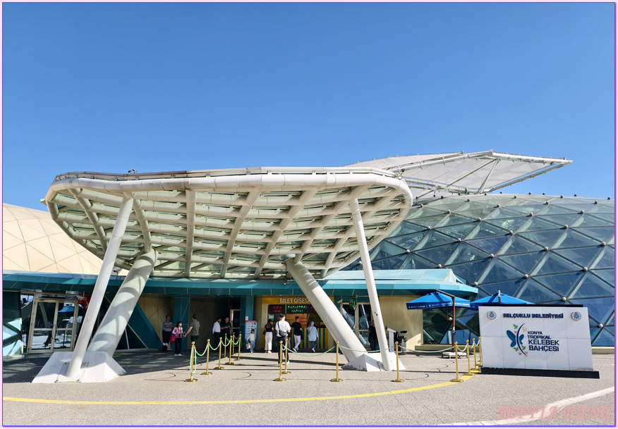 土耳其Turkiye,土耳其旅遊,土耳其航空Turkish Airlines,孔亞Konya,熱帶蝴蝶園Tropikal Kelebek Bahçesi 土耳其Turkiye,土耳其旅遊,土耳其航空Turkish Airlines,孔亞Konya,熱帶蝴蝶園Tropikal Kelebek Bahçesi