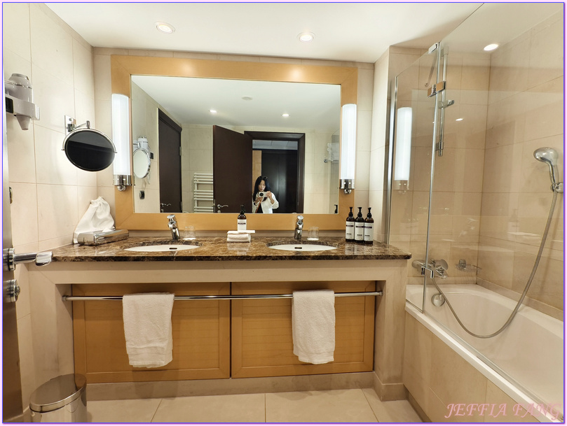 Hotel Hyatt Regency Nice Palais de la Mediterrannée,尼斯Nice,尼斯飯店,法國France,法國旅遊,英國人大道Promenade des Anglais