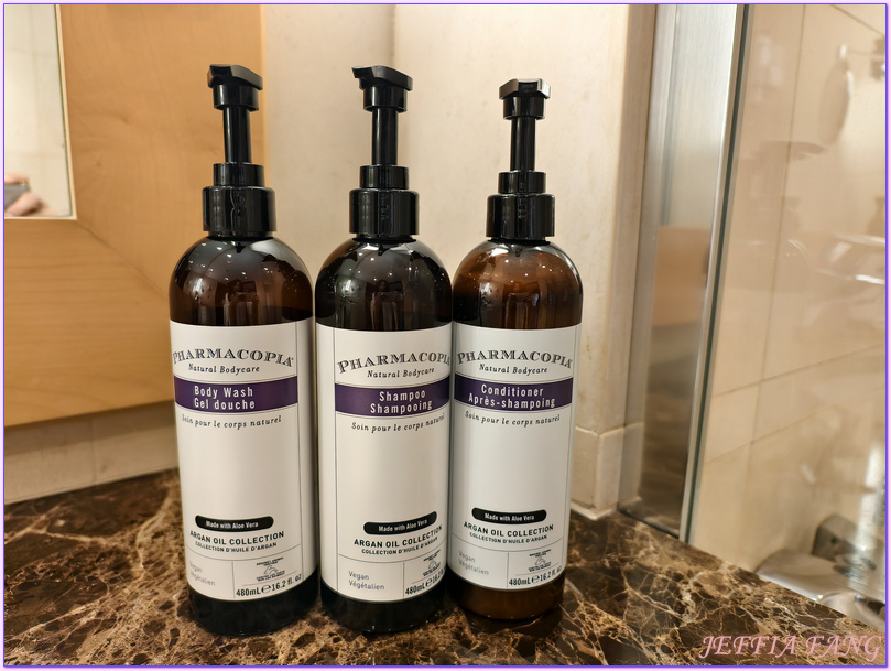 Hotel Hyatt Regency Nice Palais de la Mediterrannée,尼斯Nice,尼斯飯店,法國France,法國旅遊,英國人大道Promenade des Anglais