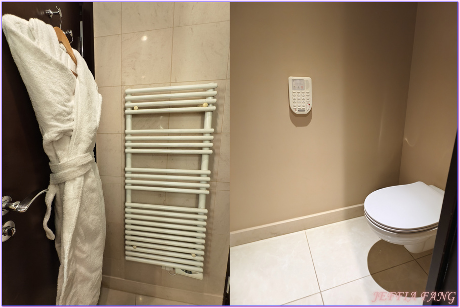 Hotel Hyatt Regency Nice Palais de la Mediterrannée,尼斯Nice,尼斯飯店,法國France,法國旅遊,英國人大道Promenade des Anglais