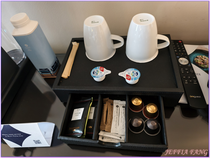 Hotel Hyatt Regency Nice Palais de la Mediterrannée,尼斯Nice,尼斯飯店,法國France,法國旅遊,英國人大道Promenade des Anglais