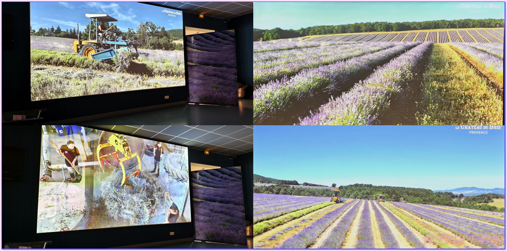 Musee De La Lavande,呂貝隆Luberon,普羅旺斯Provence,沃克呂茲省Vaucluse,法國France,法國旅遊