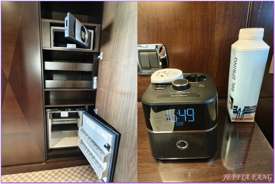 Hotel Hyatt Regency Nice Palais de la Mediterrannée,尼斯Nice,尼斯飯店,法國France,法國旅遊,英國人大道Promenade des Anglais