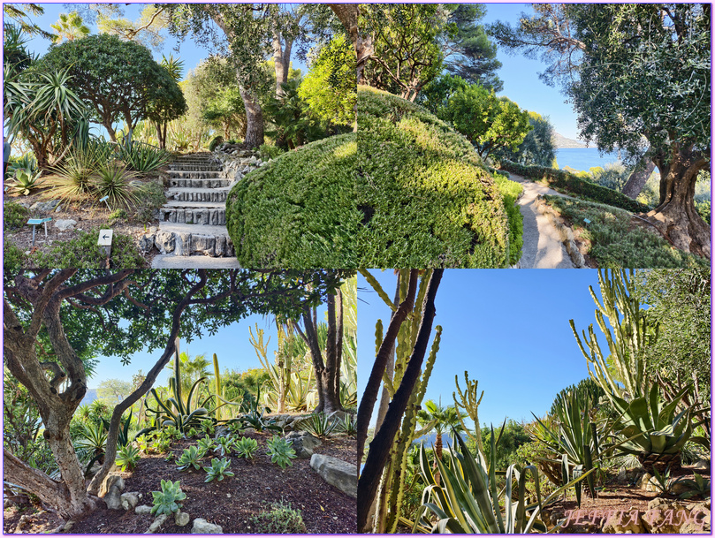 尼斯Nice,普羅旺斯Provence,法國France,法國旅遊,羅斯柴爾德花園別墅Villa Ephrussi de Rothschild,聖讓卡弗爾拉島Saint Jean Cap Ferrat 尼斯Nice,普羅旺斯Provence,法國France,法國旅遊,羅斯柴爾德花園別墅Villa Ephrussi de Rothschild,聖讓卡弗爾拉島Saint Jean Cap Ferrat