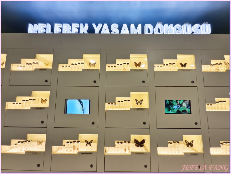 土耳其Turkiye,土耳其旅遊,土耳其航空Turkish Airlines,孔亞Konya,熱帶蝴蝶園Tropikal Kelebek Bahçesi 土耳其Turkiye,土耳其旅遊,土耳其航空Turkish Airlines,孔亞Konya,熱帶蝴蝶園Tropikal Kelebek Bahçesi