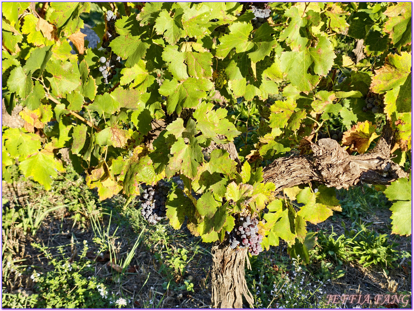 Lou Calen Eco Resort生態度假村,普羅旺斯Provence,法國France,法國旅遊,科蒂尼亞克 Cotignac,米其林綠星