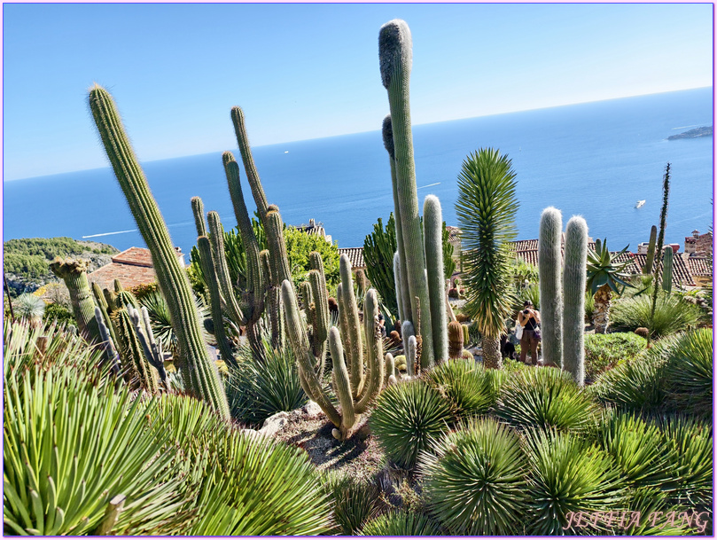 Le Jardin Exotique,埃茲村Eze village,尼斯Nice,普羅旺斯Provence,法國France,法國旅遊 Le Jardin Exotique,埃茲村Eze village,尼斯Nice,普羅旺斯Provence,法國France,法國旅遊