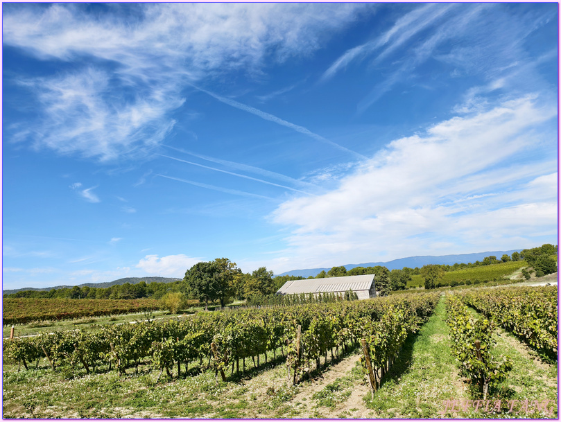 拉科斯特城堡Chateau La Coste,普羅旺斯Provence,普羅旺斯葡萄酒莊,法國France,法國旅遊