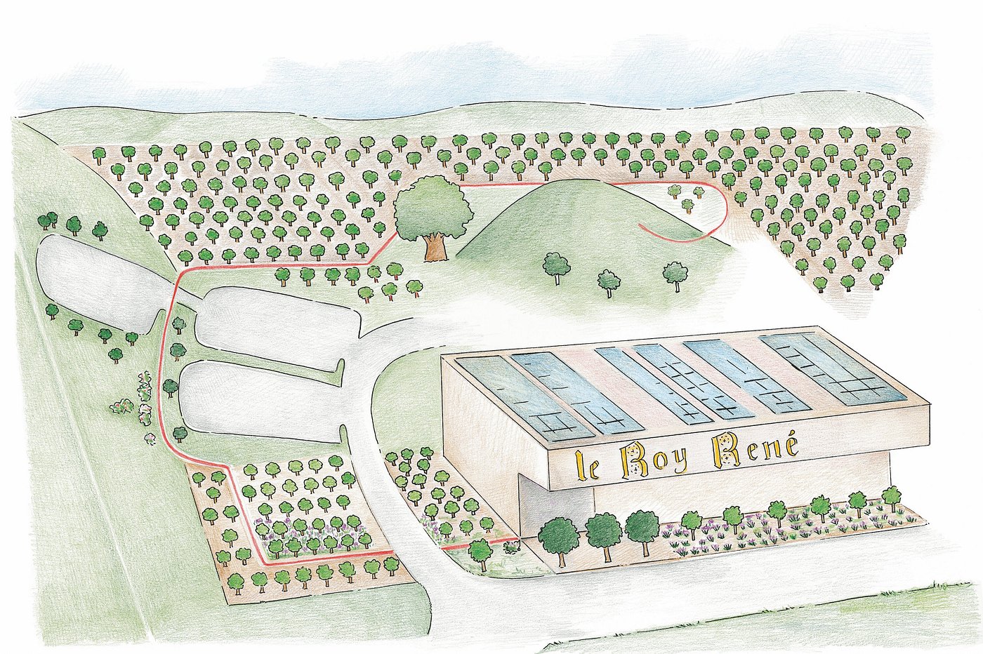 Le Roy René Calisson Museum,卡里頌杏仁糖Calisson,普羅旺斯Provence,法國France,法國旅遊