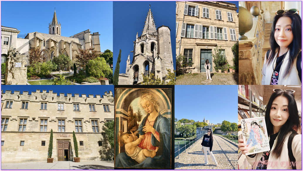 世界文化遺產區,亞維儂Avignon,亞維儂老城區,普羅旺斯Provence,沃克呂茲省Vaucluse,法國France,法國旅遊,聖貝內澤橋St Bénezet bridge