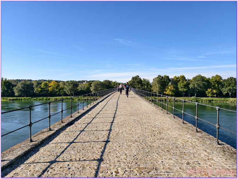 世界文化遺產區,亞維儂Avignon,亞維儂老城區,普羅旺斯Provence,沃克呂茲省Vaucluse,法國France,法國旅遊,聖貝內澤橋St Bénezet bridge