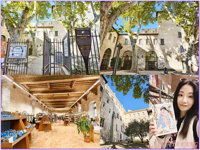 世界文化遺產區,亞維儂Avignon,亞維儂老城區,普羅旺斯Provence,沃克呂茲省Vaucluse,法國France,法國旅遊,聖貝內澤橋St Bénezet bridge