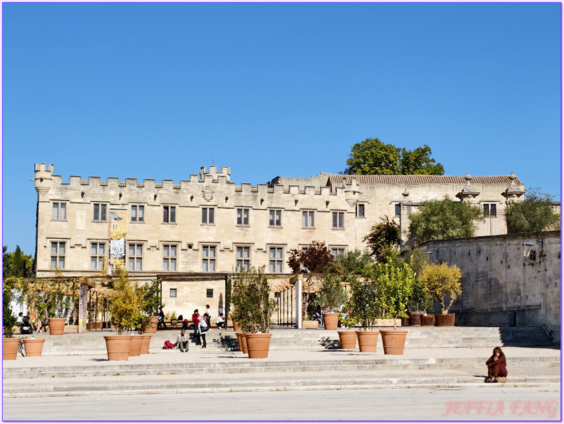 世界文化遺產區,亞維儂Avignon,亞維儂老城區,普羅旺斯Provence,沃克呂茲省Vaucluse,法國France,法國旅遊,聖貝內澤橋St Bénezet bridge