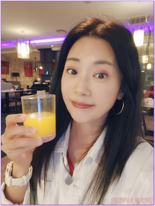 亞維儂Avignon,亞維儂市中心諾富特酒店Novotel Avignon Centre Hotel,普羅旺斯Provence,沃克呂茲省Vaucluse,法國France,法國旅遊 亞維儂Avignon,亞維儂市中心諾富特酒店Novotel Avignon Centre Hotel,普羅旺斯Provence,沃克呂茲省Vaucluse,法國France,法國旅遊