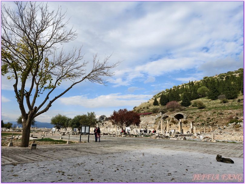 Ephesus Ancient City,以佛所遺址,伊茲密爾Izmir,土耳其Turkiye,土耳其旅遊,塞爾丘克鎮seluck